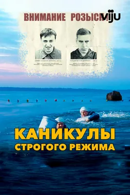 Каникулы строгого режима (Blu-ray) - купить с доставкой по выгодным ценам в  интернет-магазине OZON (260582225)