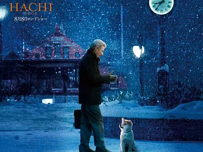 Hachiko 2023 | Хатико 2023 в 2023 г | Фильмы, Щенки, Собаки