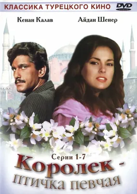 Королёк — птичка певчая (сериал, 1 сезон, все серии), 2013-2014 — описание,  интересные факты — Кинопоиск