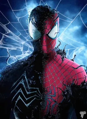 Фильм «Новый Человек-паук» / The Amazing Spider-Man (2012) — трейлеры, дата  выхода | КГ-Портал