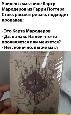 Невилл — красавчик, а Драко уже не тот: как изменились молодые актеры из  «Гарри Поттера» - 7Дней.ру