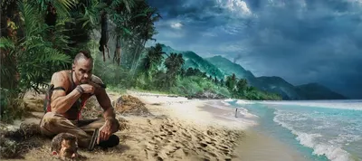 Far Cry 3 - что это за игра, трейлер, системные требования, отзывы и  оценки, цены и скидки, гайды и прохождение, похожие игры