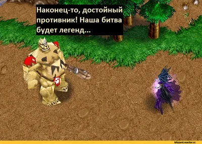 Warcraft, серия игр — все игры Warcraft по порядку, список лучших и новых —  Игромания