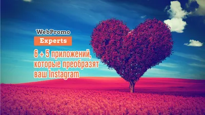 6 инструментов дизайна для Instagram Stories - блог Webpromoexperts