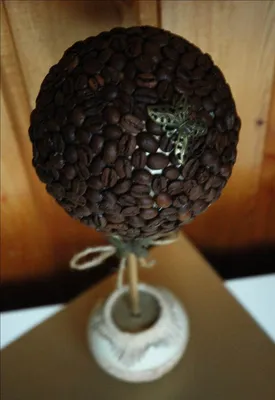 How to make homemade coffee tree – DIY is FUN