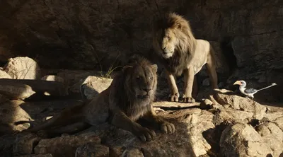 В фильме «Муфаса: Король Лев» вернутся многие герои из «Короля Льва»