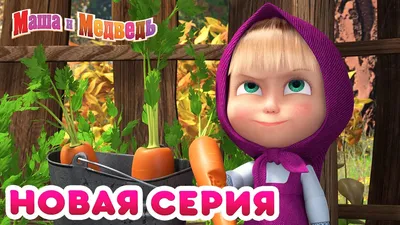 Гималайский медведь | Маша и Медведь Вики | Fandom