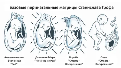 Матрица: Воскрешение». Что хотела сказать Вачовски? | Кино | Мир фантастики  и фэнтези