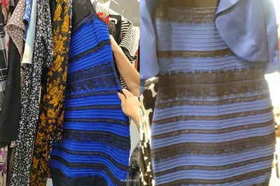 В Слуцке отыскали платье из мемов, о цвете которого спорил весь мир. Оно на  самом деле черно-синее
