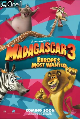 Мадагаскар 3 - Трейлер (русский язык) 1080p - YouTube