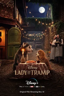 Леди и Бродяга (DVD) - купить мультфильм /Lady and the Tramp/ на DVD с  доставкой. GoldDisk - Интернет-магазин Лицензионных DVD.