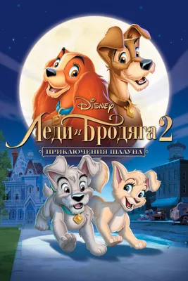 Леди и Бродяга (мультфильм) | Disney Wiki | Fandom