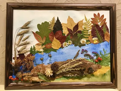 Окрас осенних листьев разных деревьев - 56 фото