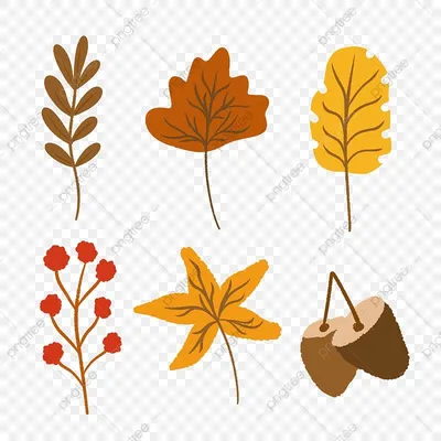 установить коллекцию осенних листьев PNG , Осенние листья, осень, осенью  тема PNG картинки и пнг PSD рисунок для бесплатной загрузки