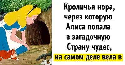 11 скрытых деталей, которые автор зашифровал в «Алисе в Стране чудес». А мы  разгадали / AdMe