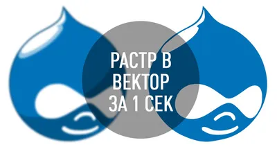 Растр и вектор - в чем отличия?