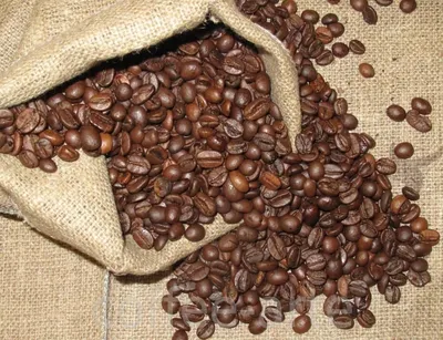 Кофе в зернах Coffee-Arte African купить в интернет-магазине «Coffee-Arte»