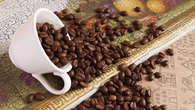 Купить кофе в зернах julius meinl caffe crema, 1кг в интернет-магазине  