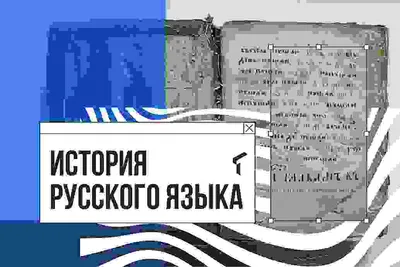 Иллюстрация 1 из 12 для Знаки препинания в сложных синтаксических  конструкциях. Ко всем действующим учебникам. 5-9 классы - Новикова,  Грибанская, Соловьева | Лабиринт - книги. Источник: Лабиринт