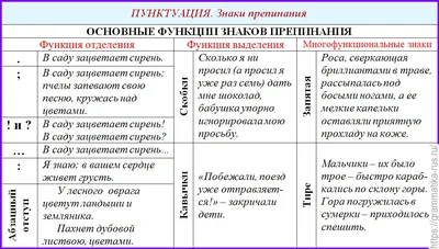 Знаки препинания. Основные функции - Русский язык без проблем