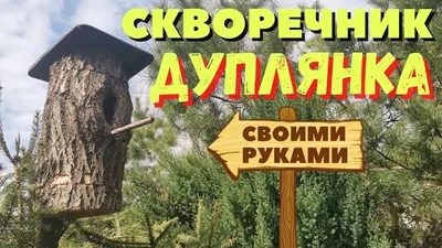 Материалы для скворечника