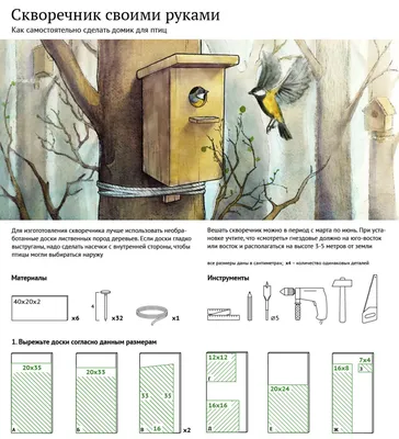 Как сделать скворечник своими руками — пошаговая инструкция