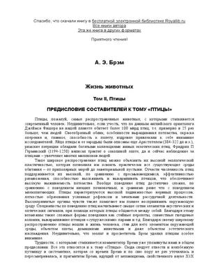 Урок ИЗО в школе. 5 класс. «Городецкая роспись». Птица и цветы - школьная  программа - YouTube