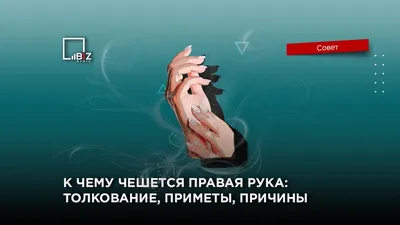 Говорят, не повезет, если черный кот посуду разобьет: в какие приметы верят  россияне - 