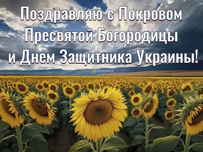 Поздравления с Днем защитника Украины: стихи, картинки и проза |  