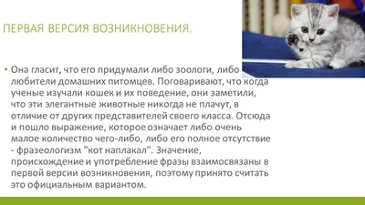 14) Объясните и запишите значение фразеологизма кот наплакал, Используя не  менее двух предложений, - Школьные Знания.com