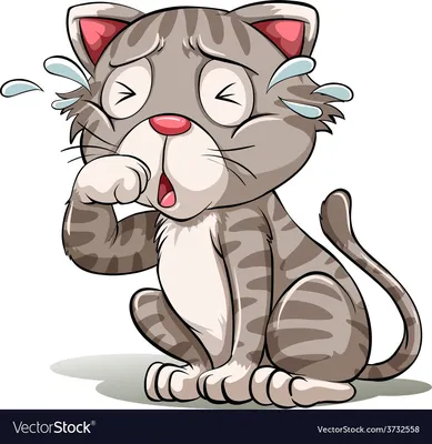 Как кот наплакал!" - арабское происхождение фразеологизма, о котором Вы не  знали! | Замурчательно! | Дзен