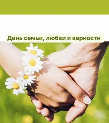 В парках Краснодара отметят День семьи, любви и верности :: 