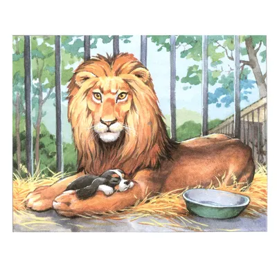 Нарисовать рисунок к рассказу лев и собачка - 13 фото