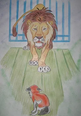 Раскраски лев и щенок (45 фото) » Картинки, раскраски и трафареты для всех  - 