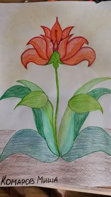 Аленький цветочек детский рисунок - 35 фото
