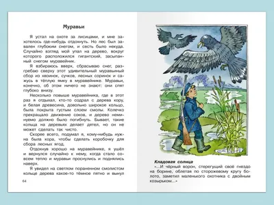 Наш клАсс! : Литературная гостиная, часть 2: иллюстрации к сказке-были  М.М.Пришвина "Кладовая солнца"