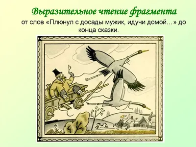 Чего на свете не бывает. Сюжет и реальная основа в бытовой сказке -  презентация онлайн