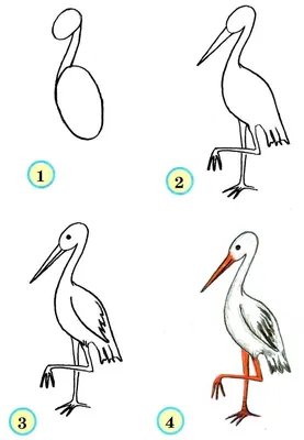 Рисунок к сказке журавль и цапля раскраска (38 фото) » рисунки для срисовки  на Газ-квас.ком