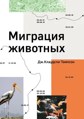 Первые перелетные птицы вернутся в Москву уже в этом месяце - РИА Новости,  