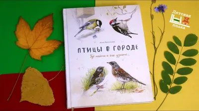 На подлёте: опубликован календарь возвращения перелетных птиц в Москву -  Московская правда