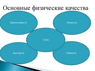 Физические качества — врождённые морфофункциональные качества, данные  каждому человеку, они составляют основу двигательных способностей… |  Instagram