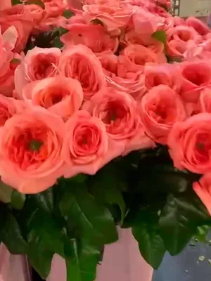 Искусственные розы качественные купить Укриана. Дорогие искусственные цветы  розы купить Киев