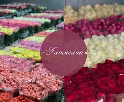 Купить цветы искусственные роза по выгодной цене в интернет-магазине   (1063668020)