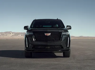 The Cadillac Escalade Stands Tall and Brings Spacious Refinement