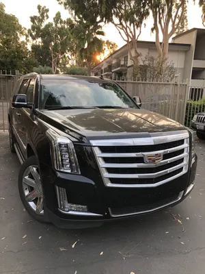 New 2024 Cadillac Escalade Escalade-V SUV in Fort Myers #24283 | Val Ward  Cadillac