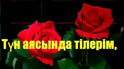 Жаным, Қайырлы түн тілеймін... - YouTube