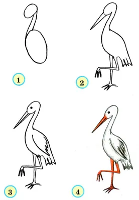 Как нарисовать птицу, если не умеешь рисовать. Часть 2. Акварель | УЧУСЬ  РИСОВАТЬ | Дзен