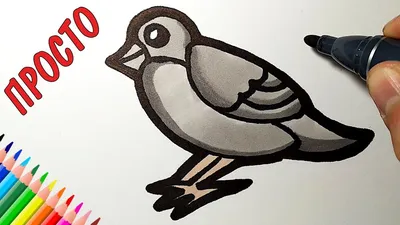 Как поэтапно рисовать жар-птицу | Рисование птицы, Нарисовать птицу, Рисунки