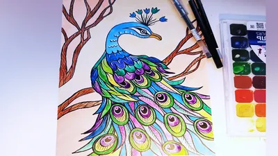 Каля Маля Всё о рисунках. Учимся рисовать: Как нарисовать летящую сову?