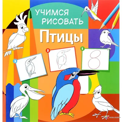 птица на ветки рисунок карандашом учимся рисовать поэтапно для детей -  Изостудия ВЕСЕЛЫЕ КАРАНДАШИ
